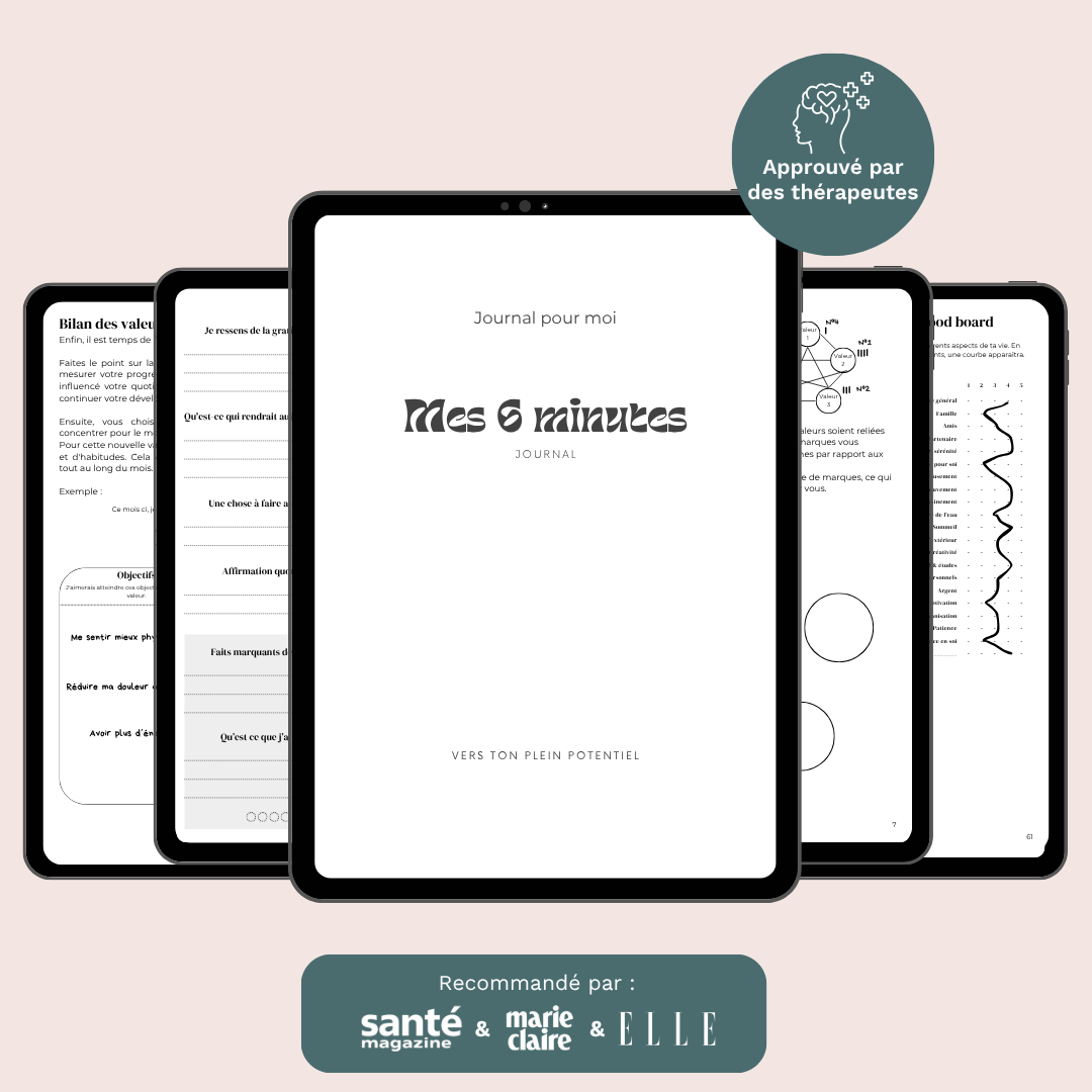 Journal de gratitude Mes 6 minutes - version numérique